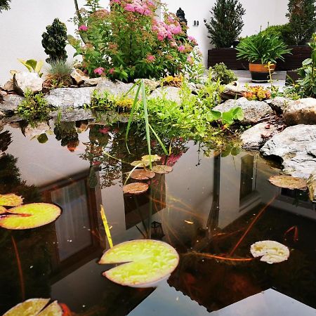 ​Gaestehaus Frans-Jozef Mönichkirchen エクステリア 写真